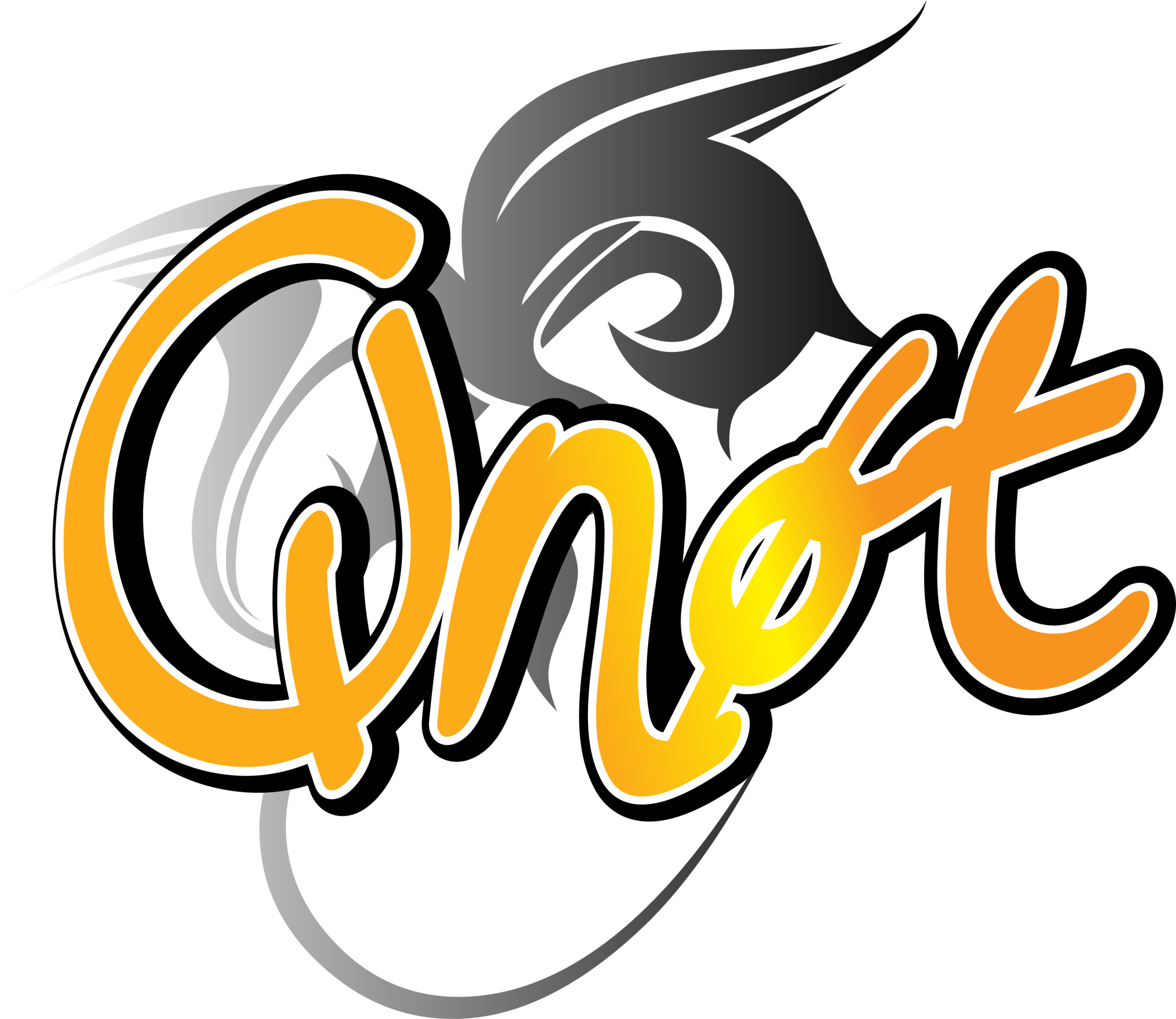 Qnøt Coverband